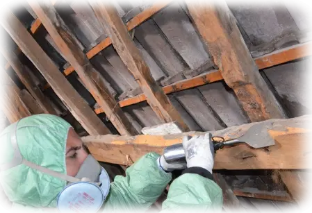 Traitement de termites Coignières Yvelines